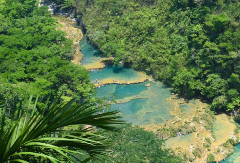 Semuc Champey: El Paraíso Natural Escondido en la Selva de Guatemala