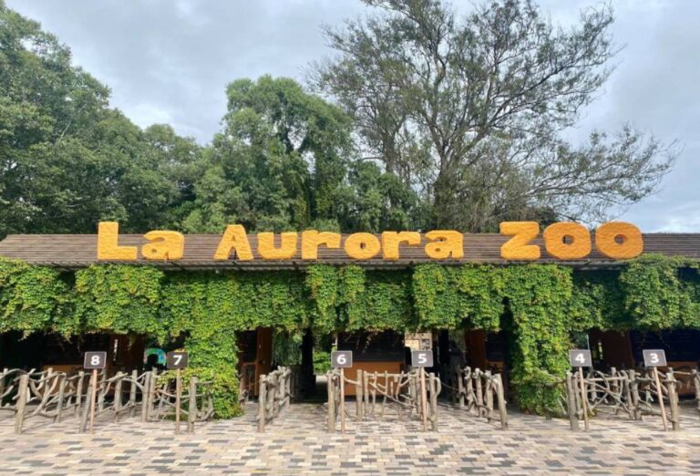 Zoológico La Aurora: El Encuentro con la Naturaleza en el Corazón de Guatemala