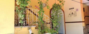 75332793_2514235328613163_7965543834329284608_n